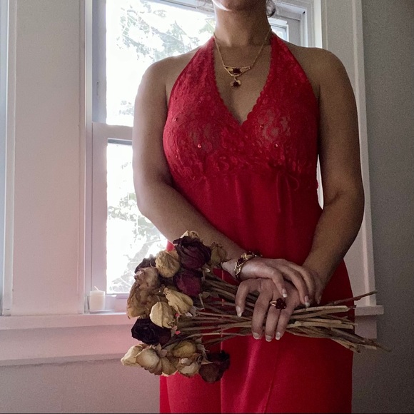 🌹 Cinema Etoile, Vintage Valentine’s Nightgown - Picture 5 of 16